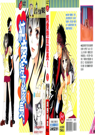 纯爱特攻队长