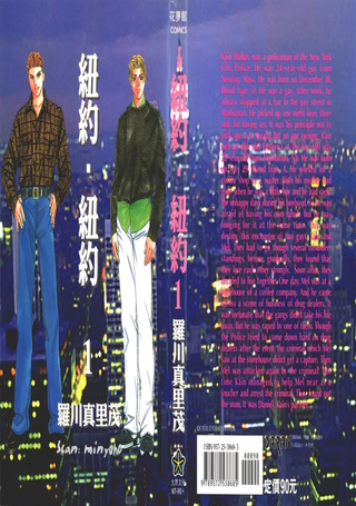 纽约纽约