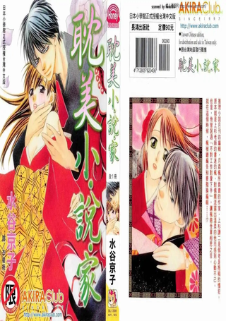 耽美小说家
