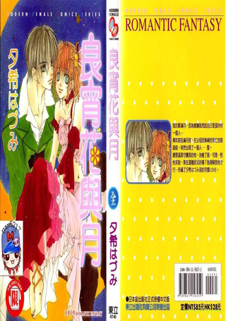 良宵花与月