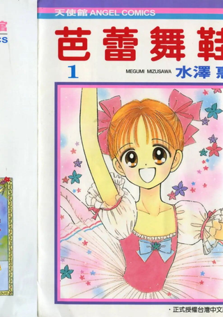 芭蕾舞鞋