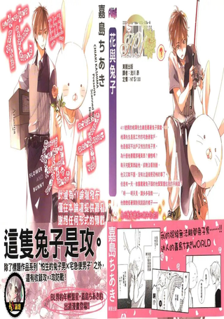 花与兔子