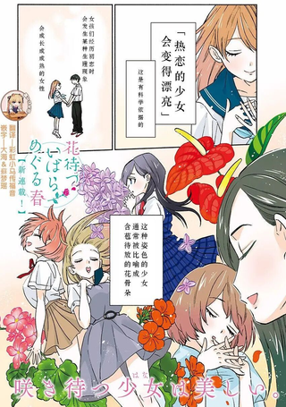 荆姬花待春
