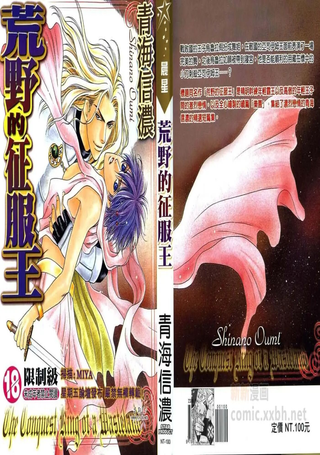 荒野的征服王
