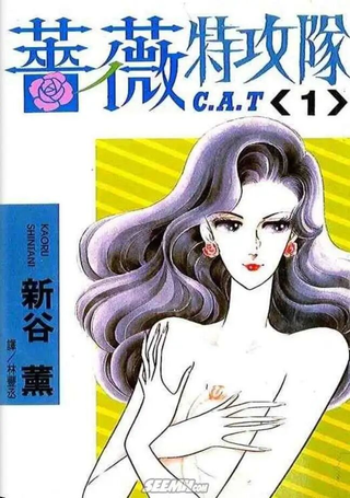 蔷薇特攻队