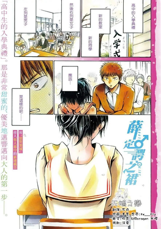 薛定谔之裙