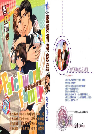 蜜爱拼凑家庭