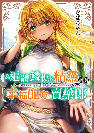 让破败精灵重获新生的药剂师先生