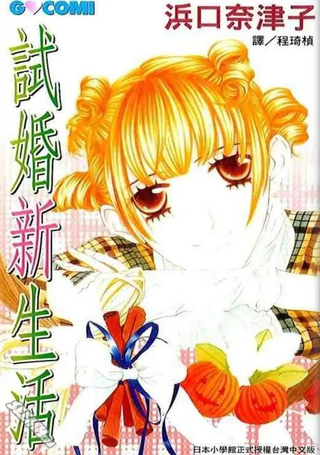试婚新生活