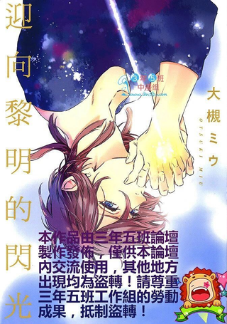 迎向黎明的闪光