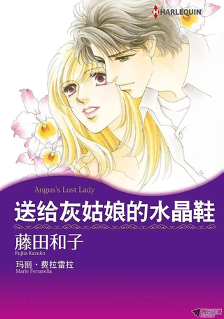 送给灰姑娘的水晶鞋