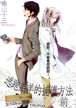 逃跑羔羊的捕获方法