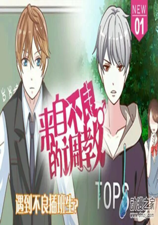 来自不良的调教