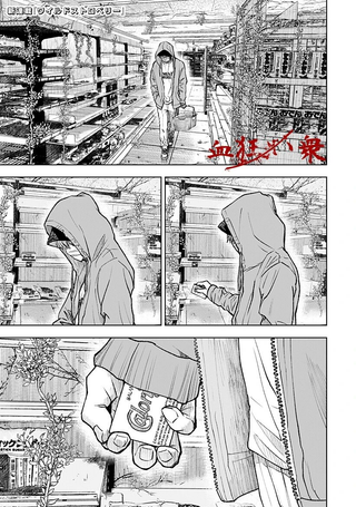 野草莓