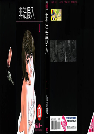非法侵入