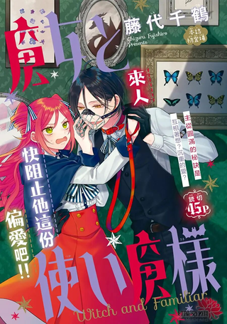 魔女和使魔大人