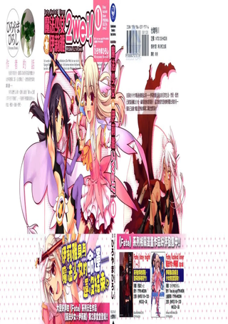 魔法少女☆伊莉雅2wei
