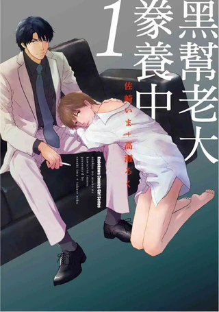 黑帮老大豢养中