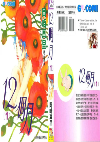 12个月