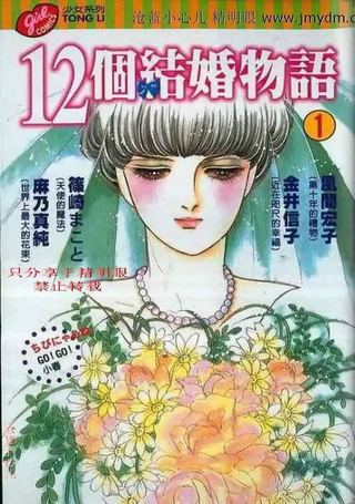 12个结婚物语