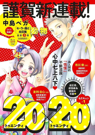 20乘20