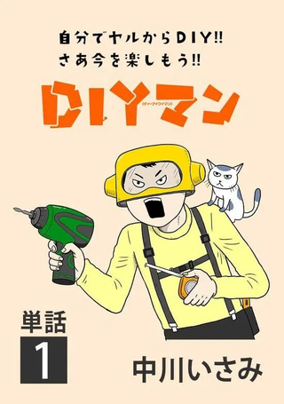 DIY侠