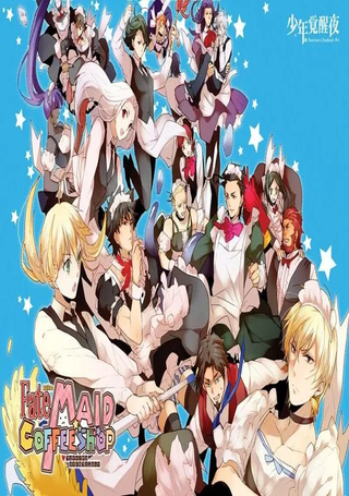 Fate zero：女仆战争