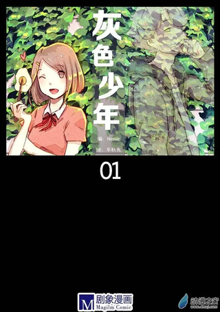 灰色少年