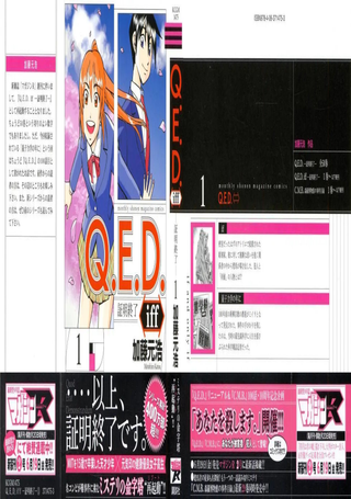 Q.E.D. iff-证明终了-