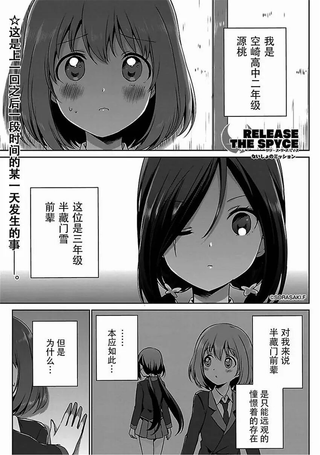 RELEASE THE SPYCE