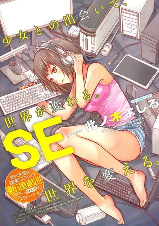 系统工程师