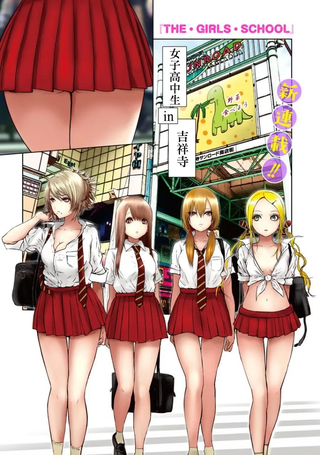 THE GIRLS SCHOOL