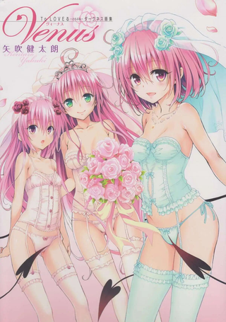To LOVE画集