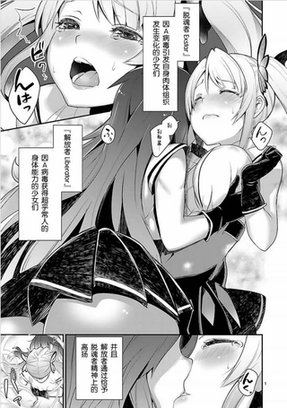 Valkyrie Drive：Siren