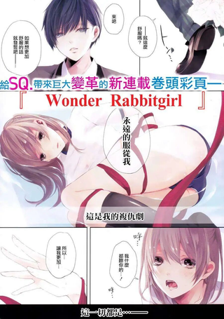 Wonder Rabbitgirl