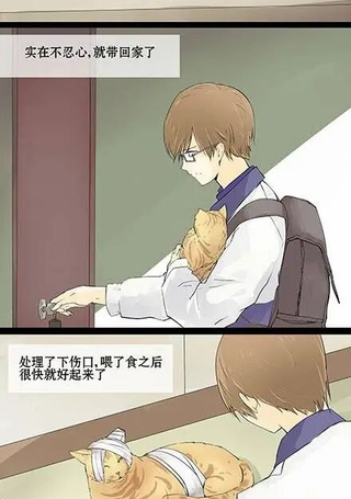 猫爷的报恩