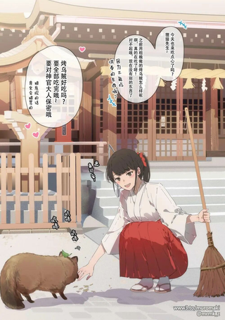 一直投食的狸猫是妖怪狸猫