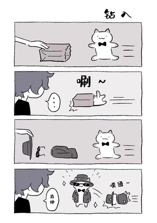 不可思议的猫咪 小九