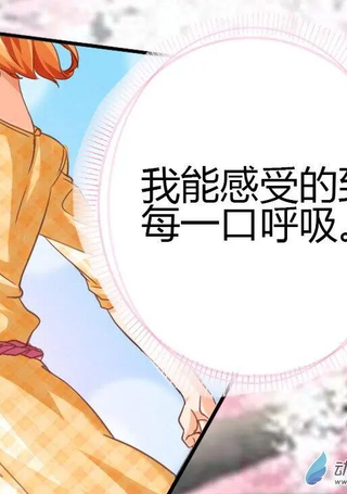 男友是猫又怎样