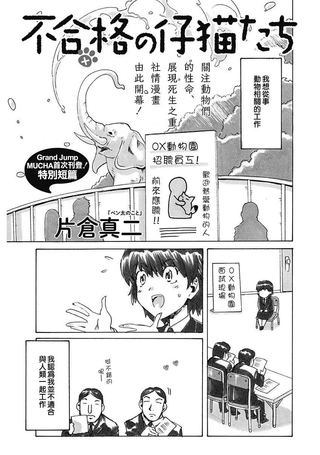 不合格的仔猫们