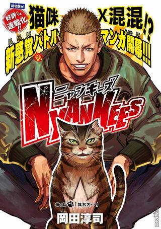不良猫