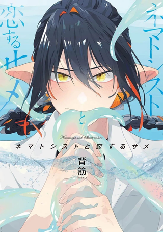 与刺胞相恋的鲨鱼