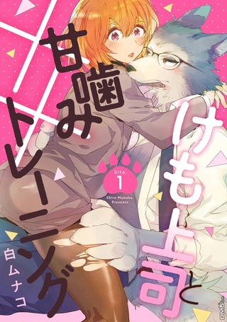 与野兽上司的轻咬××训练
