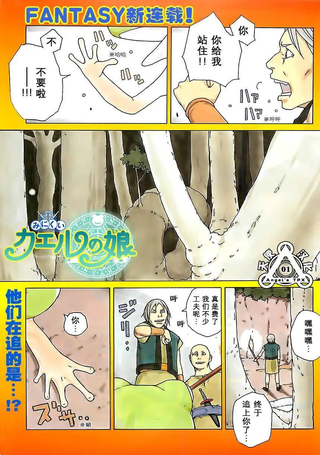 丑蛙姑娘