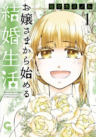 从大小姐开始的婚姻生活