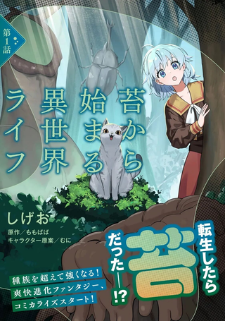 从草开始的异世界生活