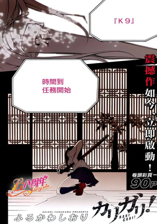 仮狩
