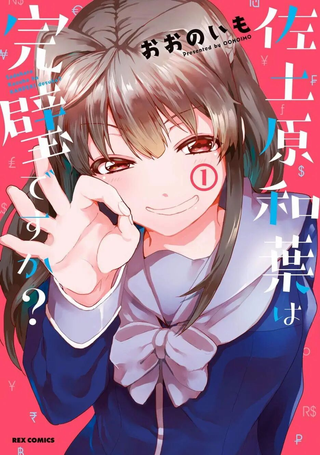 佐土原和叶真的完美吗？