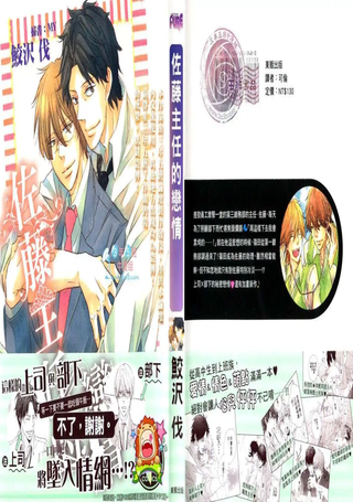佐藤主任的恋情