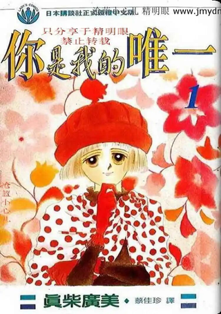 你是我的唯一